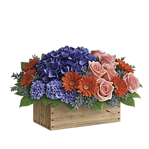 Sapphire Bloom Whisper