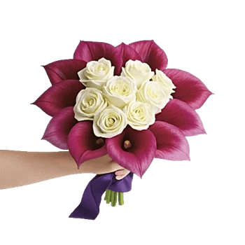 Elegant Calla Lilies