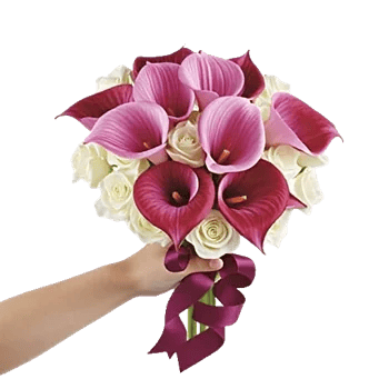 Elegant Calla Lilies