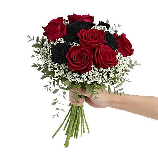 Crimson Rose Elegance