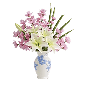 Ivory Blossom Radiance