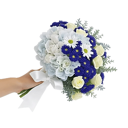 Serene Petal Harmony