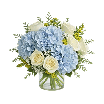 Serene Petal Harmony