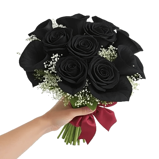 Elegant Calla Lilies