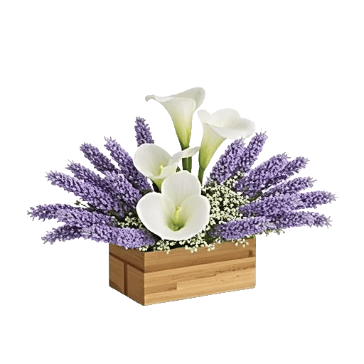 Elegant Calla Lilies