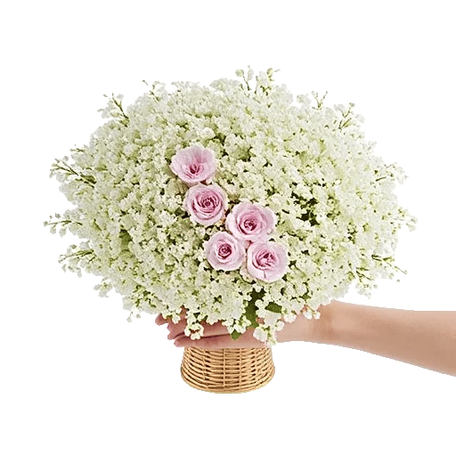 Blossom Harmony Display