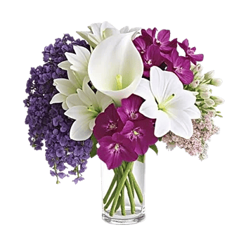 Elegant Calla Lilies