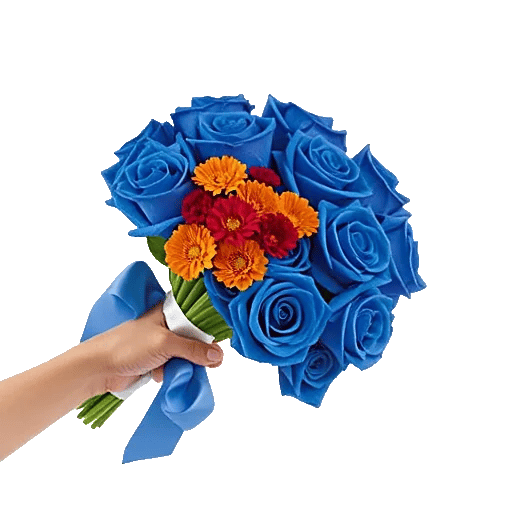 Elegant Blue Roses