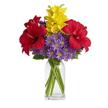 Petal Radiance Bliss