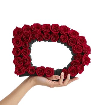 Crimson Rose Elegance