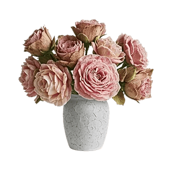 Ivory Blossom Radiance