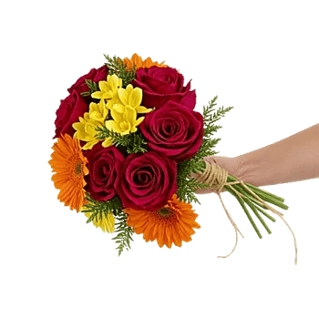 Crimson Rose Elegance