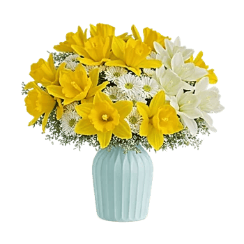 Petal Radiance Bliss