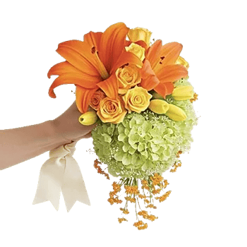 Radiant Bloom Cascade