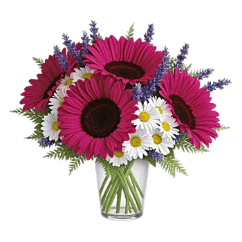 Radiant Bloom Cascade