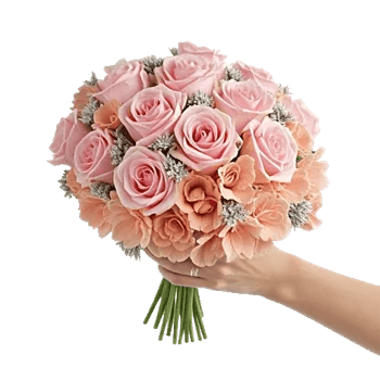 Pastel Pink Roses