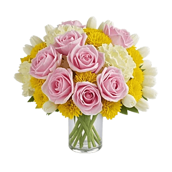 Petal Radiance Bliss