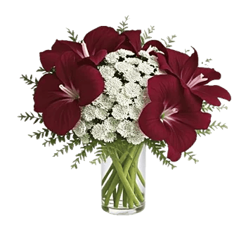 Crimson Blossom Harmony