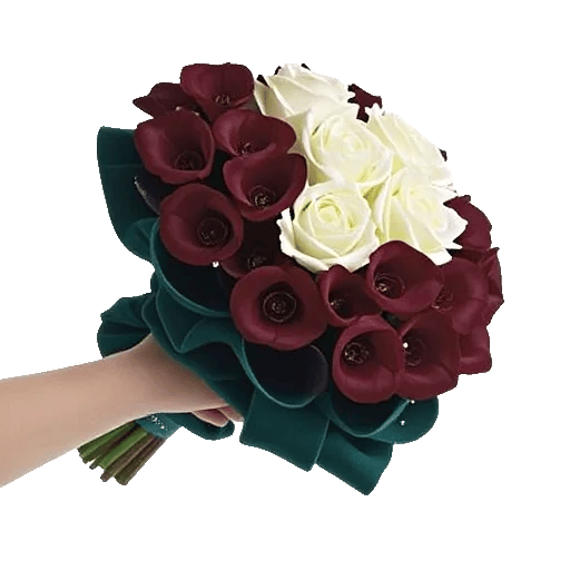 Elegant Calla Lilies