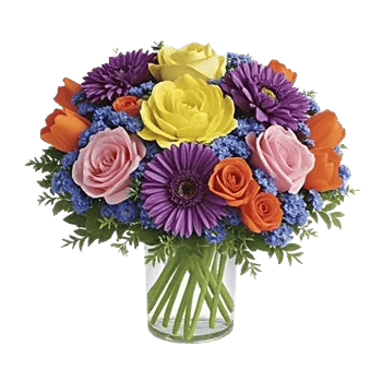 Petal Radiance Bliss