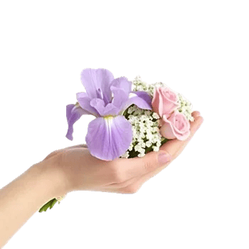 Ivory Blossom Radiance