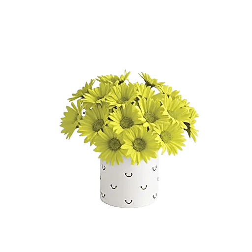 Velvet Tulip Display