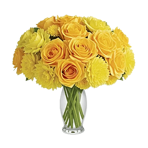 Golden Rose Radiance