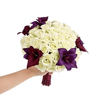 Elegant Calla Lilies