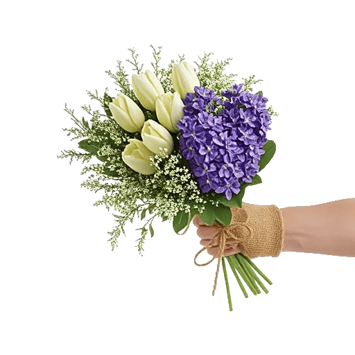 Ivory Garden Grace