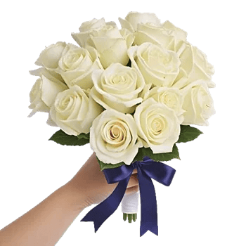 Ivory Garden Grace