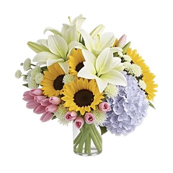 Ivory Blossom Radiance