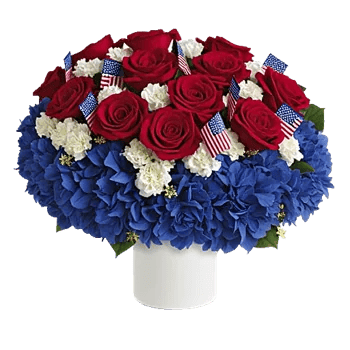 Crimson Rose Elegance