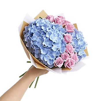 Serene Petal Harmony