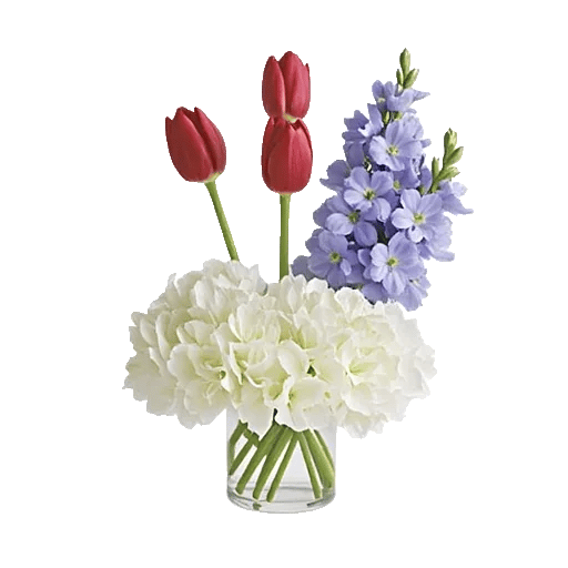 Velvet Tulip Display