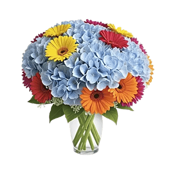 Serene Garden Harmony