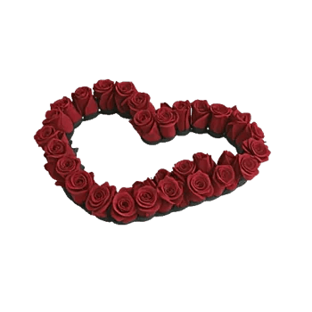 Crimson Rose Elegance
