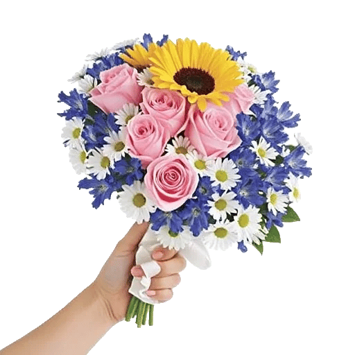 Twinkling Sunflower Dance