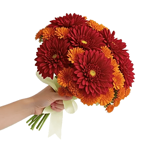 Crimson Blossom Harmony