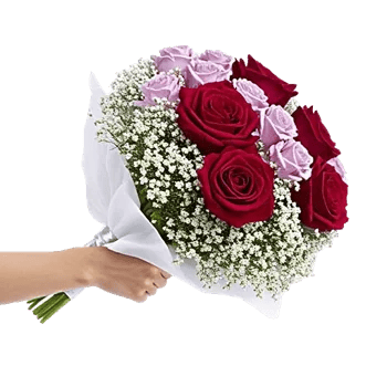 Crimson Rose Elegance