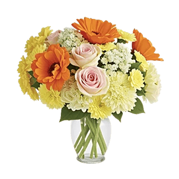 Petal Radiance Bliss