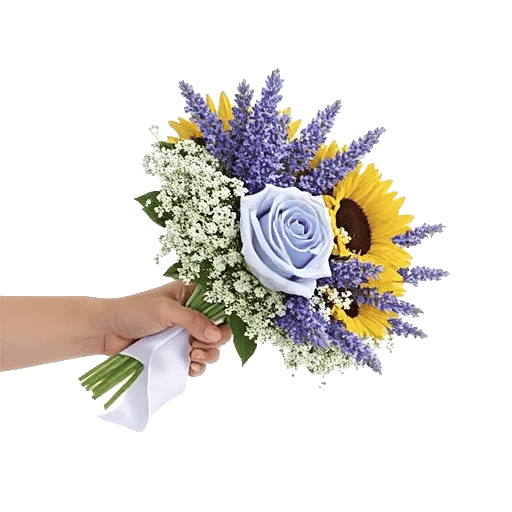 Blossom Petal Serenity