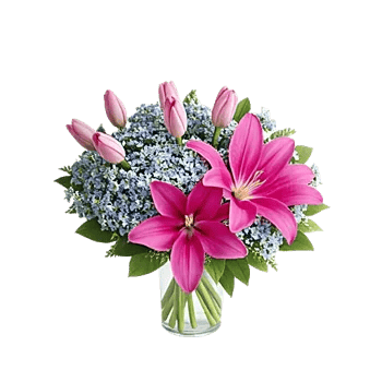 Blossom Petal Serenity