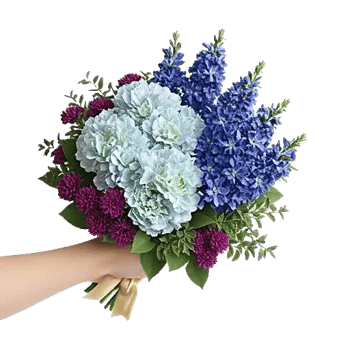 Sapphire Bloom Whisper