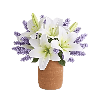 Ivory Blossom Radiance