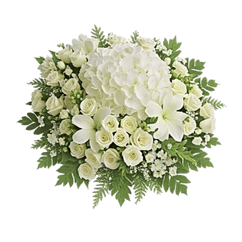 Ivory Blossom Radiance