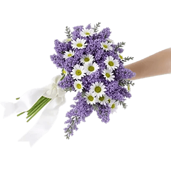 Delicate Petal Cascade