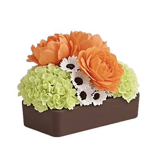 Petal Radiance Bliss