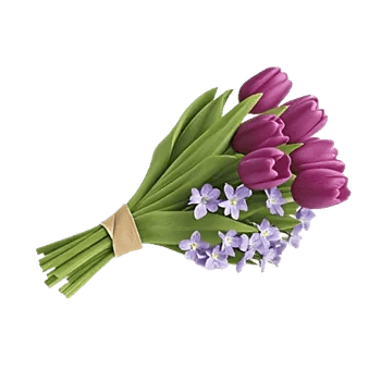 Velvet Tulip Display