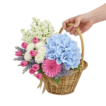 Blossom Harmony Display