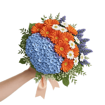 Blossom Petal Serenity